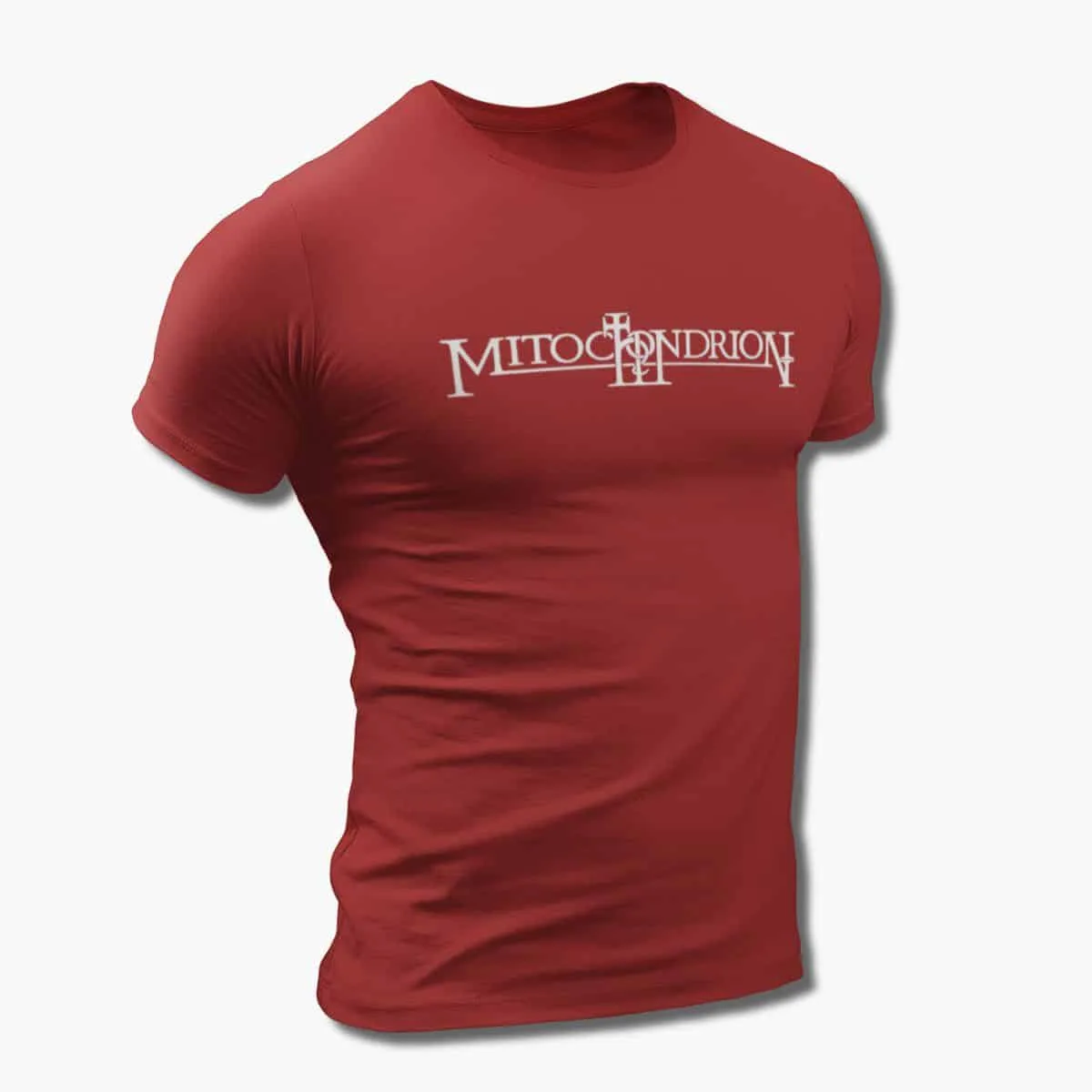 View 5