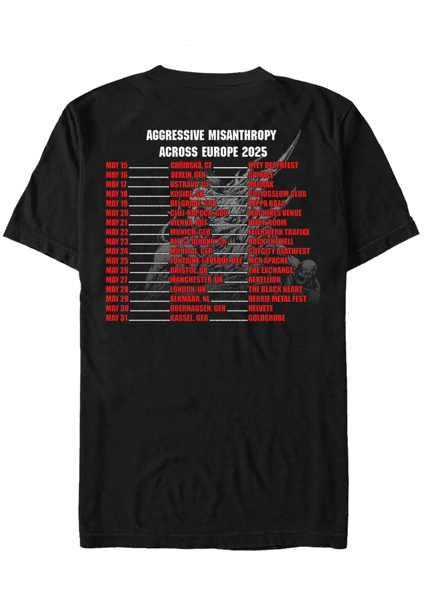 Stabbing Pulled Apart Tour 2025 T-Shirt